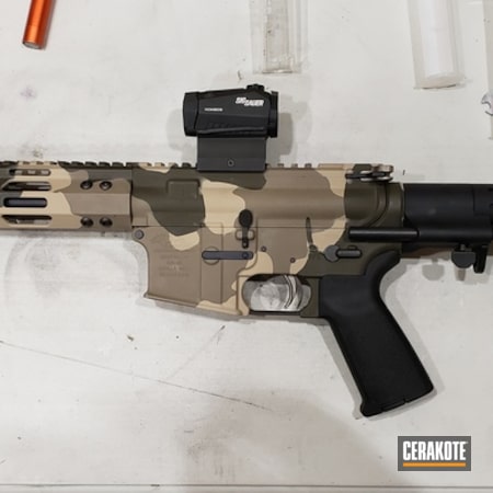 Powder Coating: Desert Sand C-211,S.H.O.T,MultiCam,Tactical Rifle,#custom,.300 Blackout,Coyote Tan H-235,MAGPUL® FLAT DARK EARTH H-267