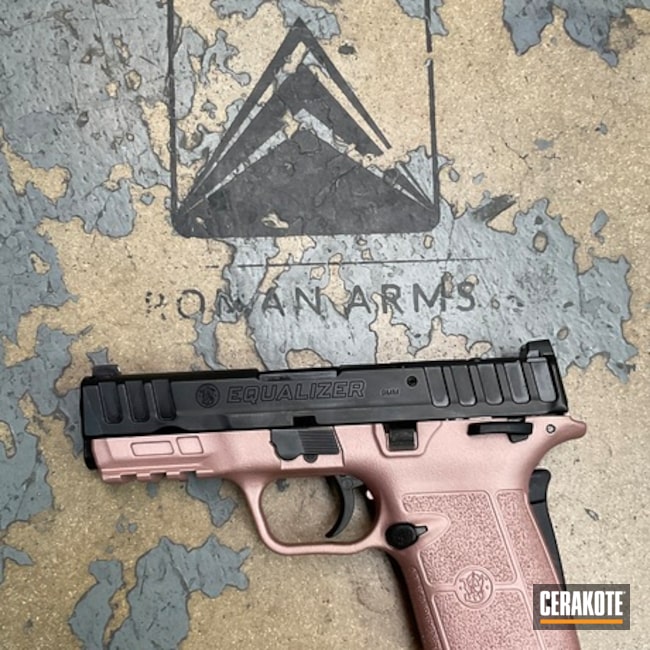 S&w Equalizer Coated With Cerakote In H-327
