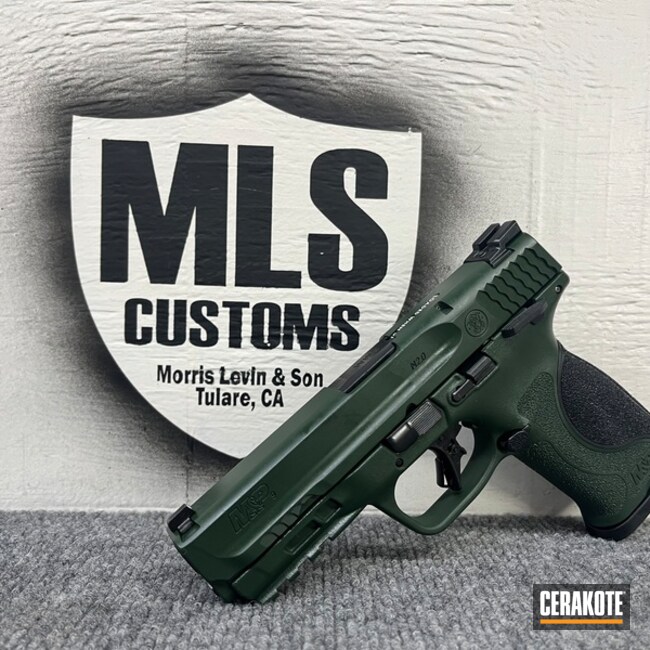 Sw M&p  Coated With Cerakote In H-400