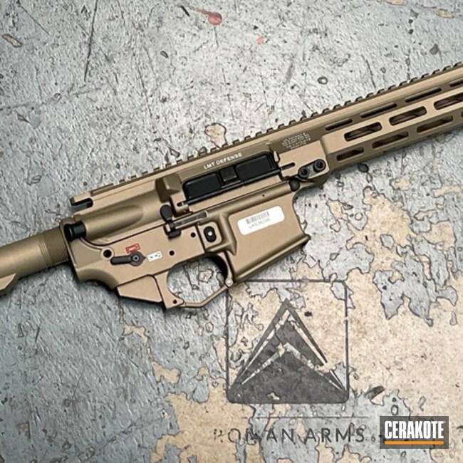 Ar-15 Coated With Cerakote In E-250 And H-122