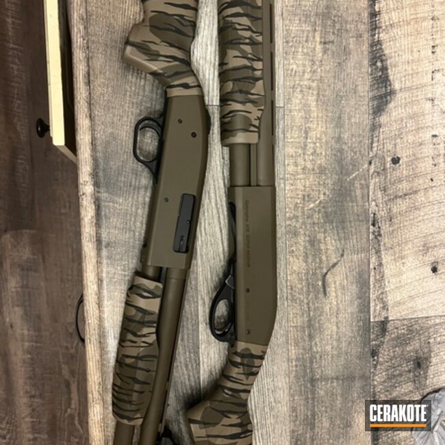 Bottomland 