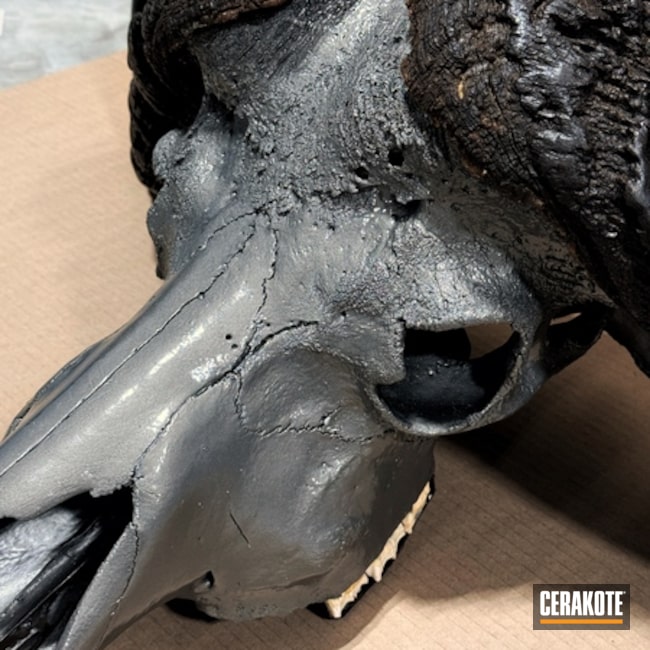 Stainless Cape Buffalo Skull