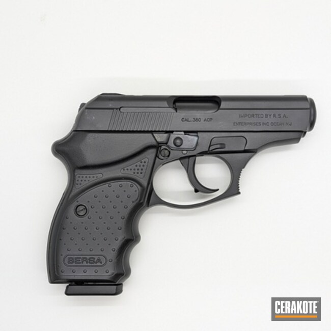 Blacked-out Bersa Thunder 380cc Using Graphite Black