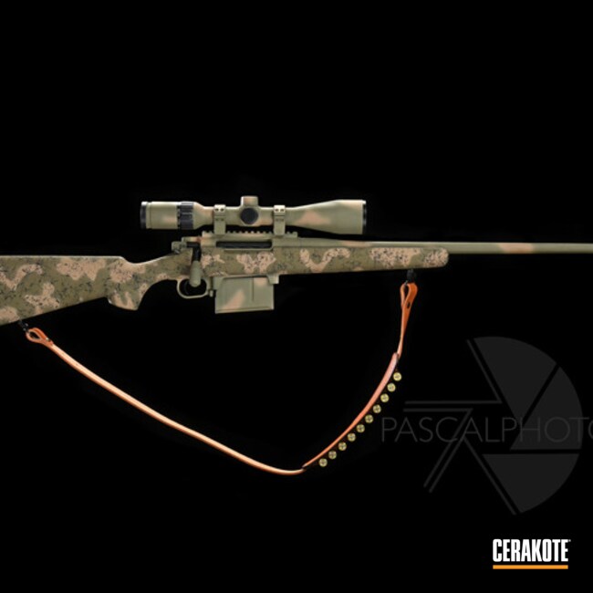 Custom 2 Color Dld Bolt Action Rifle