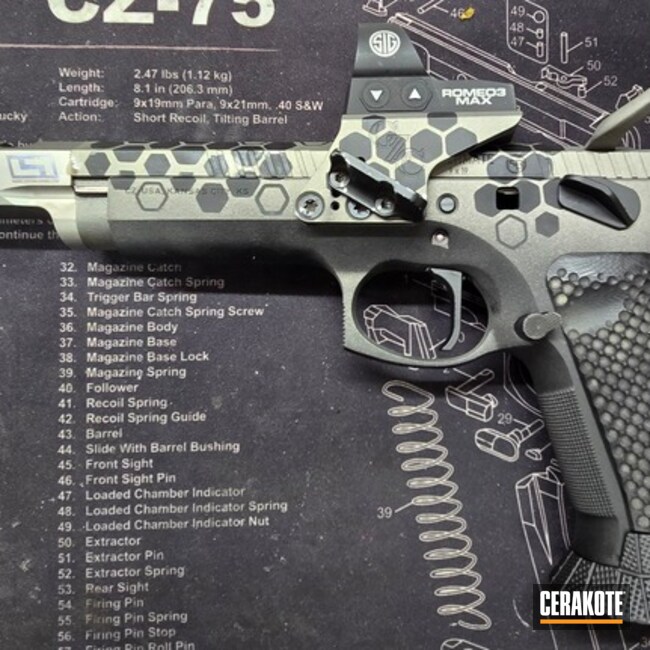 Cz 75 Czechmate (cz Armorer)