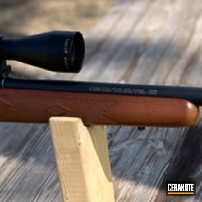 Marlin 17 Hmr