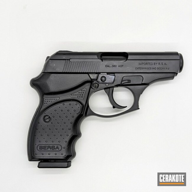 Blacked Out Bersa Thunder With Graphite Black
