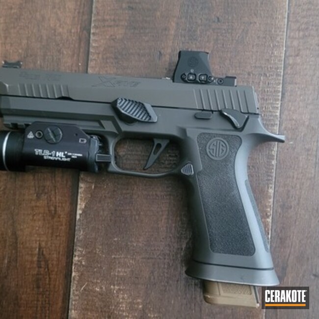 X5 Legion Coated With Cerakote In App-151 And H-148