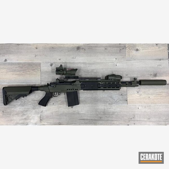 M14 Ebr Two Tone