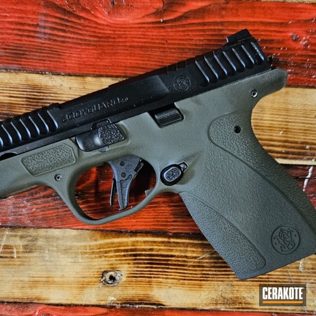 Bodyguard 2.0 Coated With Cerakote