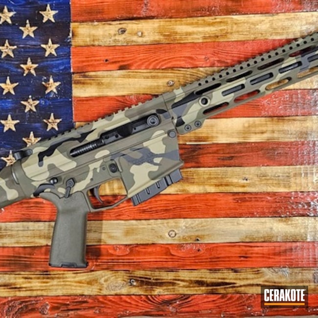 Ar-10 Coated With Cerakote In H-225, H-235, F-119 And H-146