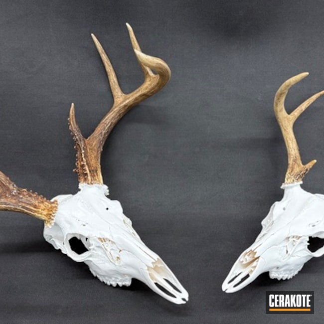 Deer Skull
