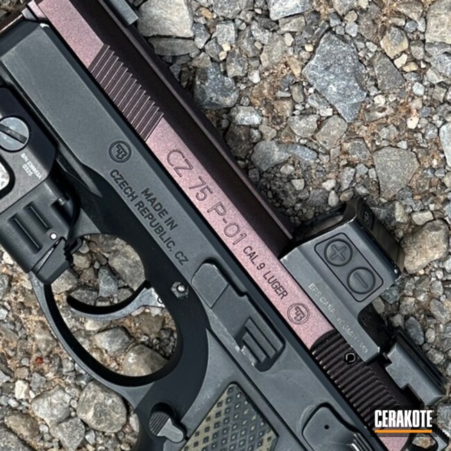 Cz P-01 Slide W/ Fx Riot On Graphite 