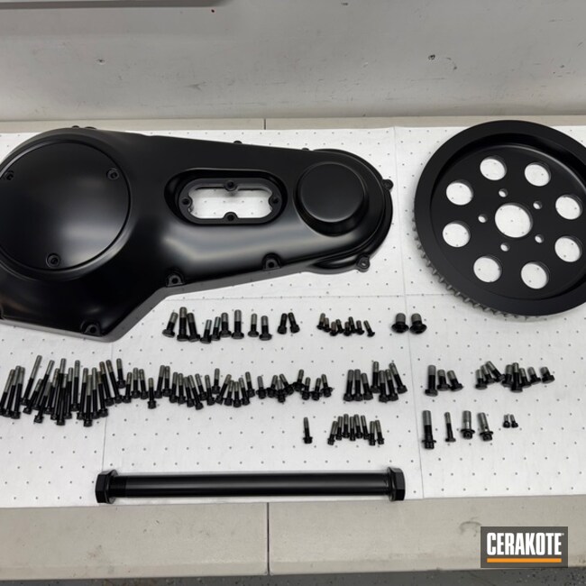 ‘93 Softail Springer Blackout Package