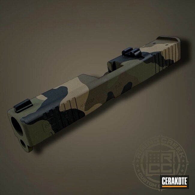 Glock 19 M81