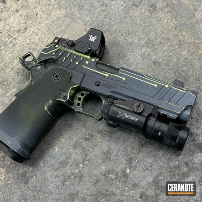 Springfield Armory Techno-2011