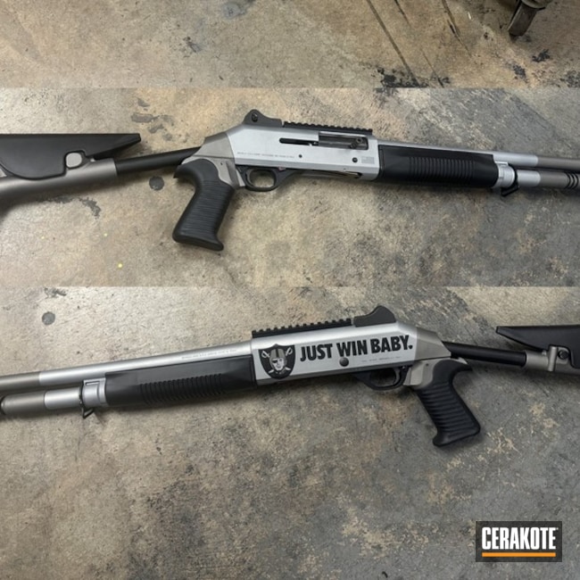 Benelli Lv Raider 1014