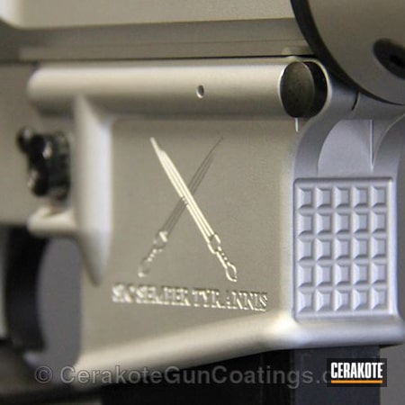 Powder Coating: Sterling AR,Satin Mag H-147,Tactical Rifle
