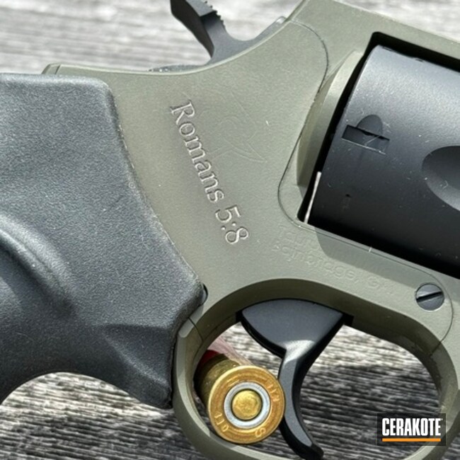 Taurus Judge