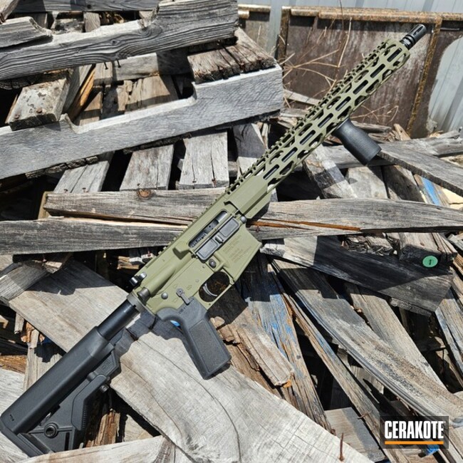 Ar15 Coated With Cerakote