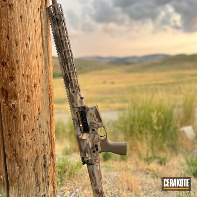 Ar-10 Desert Camo