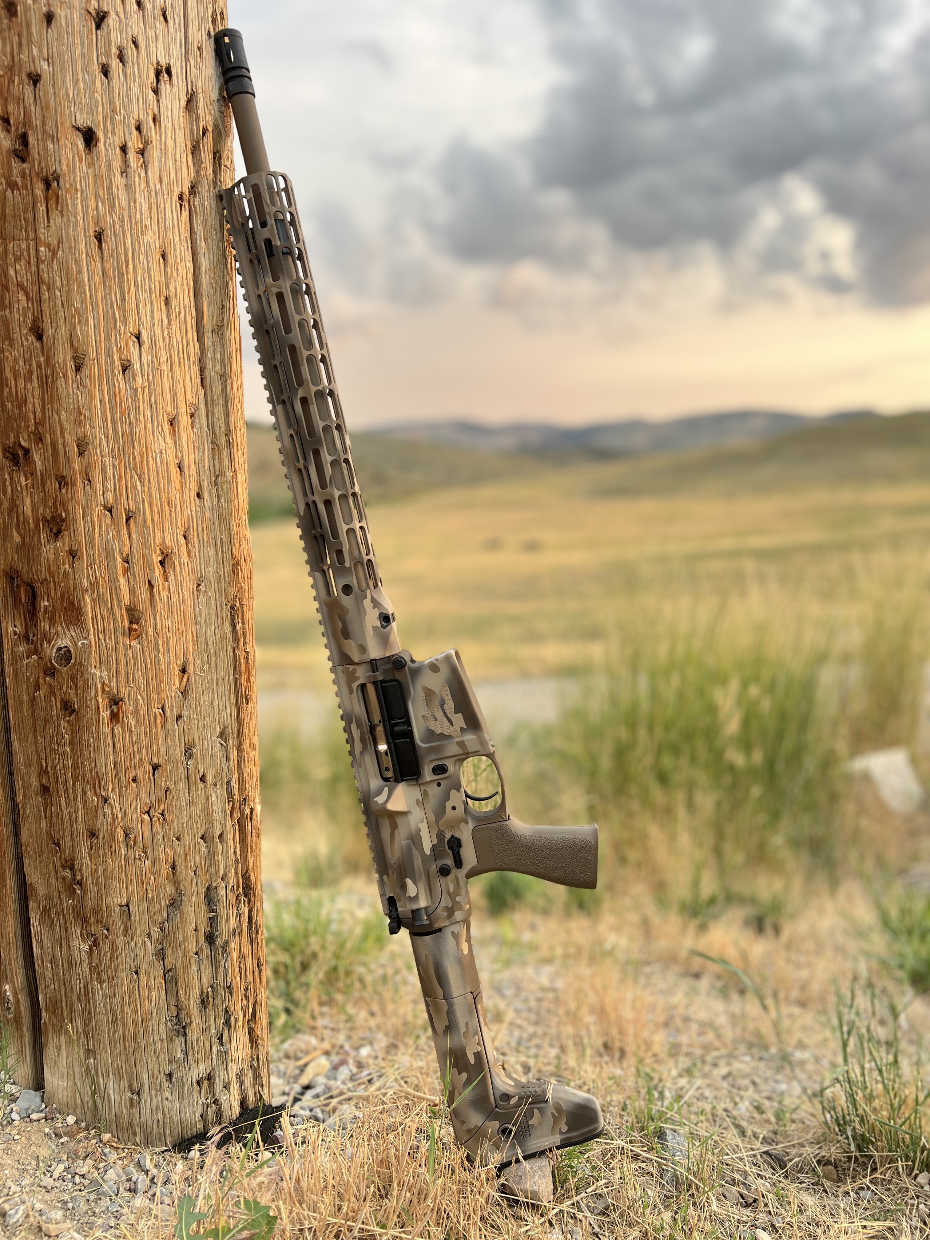 AR 10 Desert Camo Cerakote
