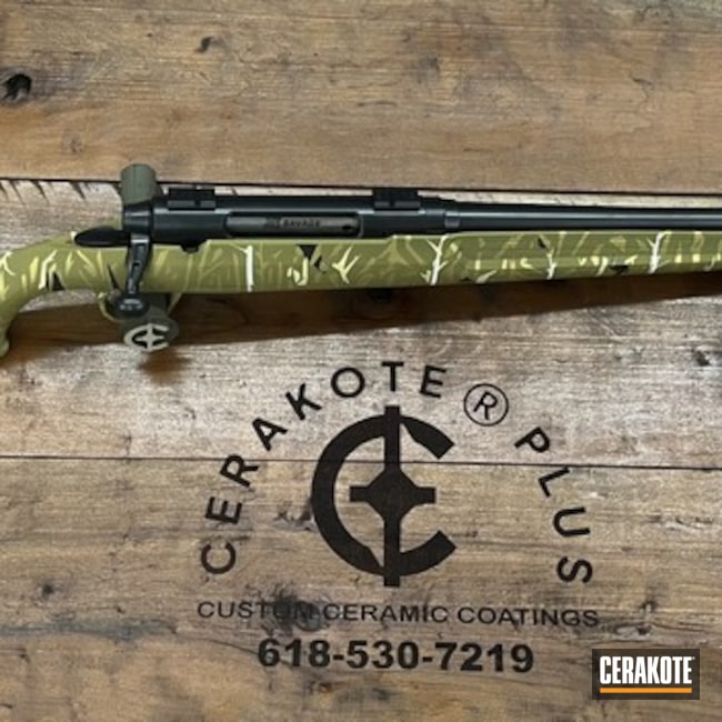 Custom Cerakote