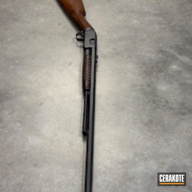 Midnight Blue Remington 22lr