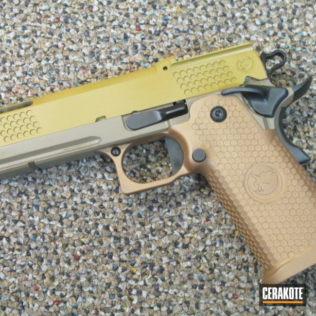 Nighthawk Coated With Cerakote