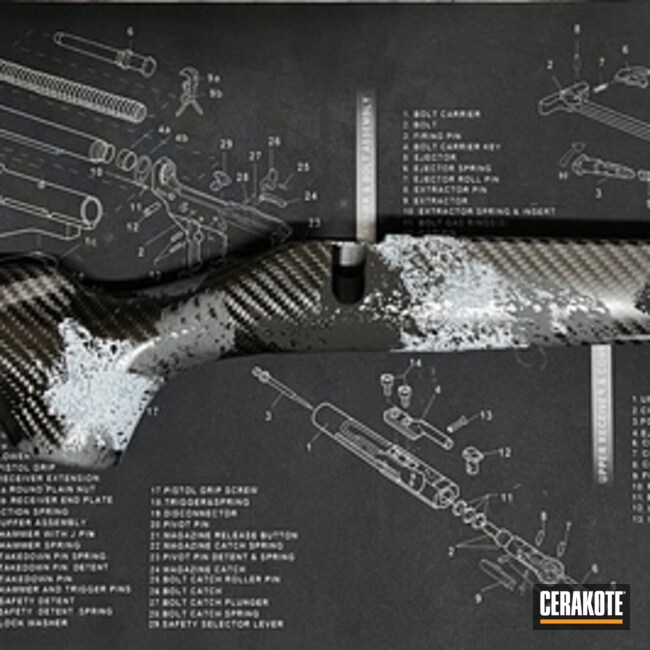 Sponge Carbon Stock