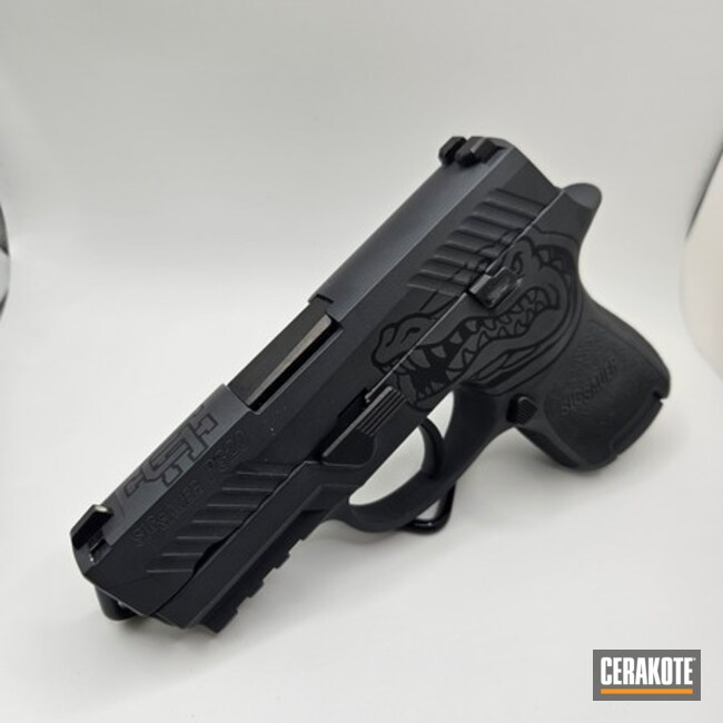 P320 Coated With Cerakote