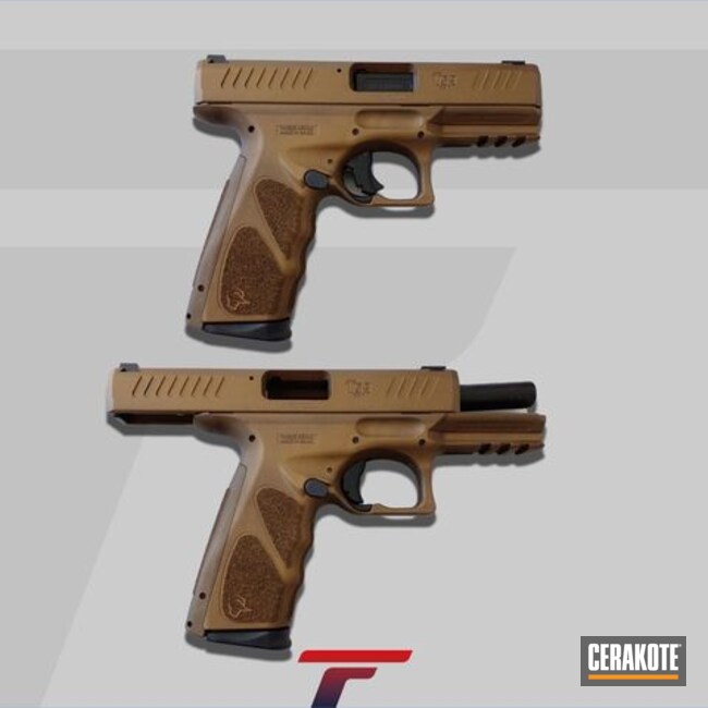 Taurus Ts9