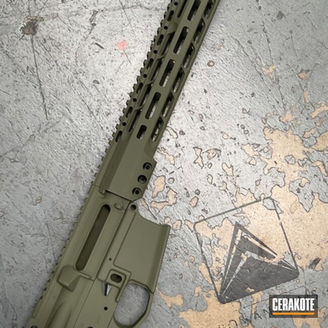 Ar-15 Builderset Coated With Cerakote
