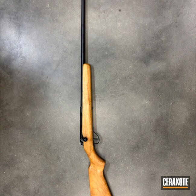 Graphite Black Bolt Action Rifle