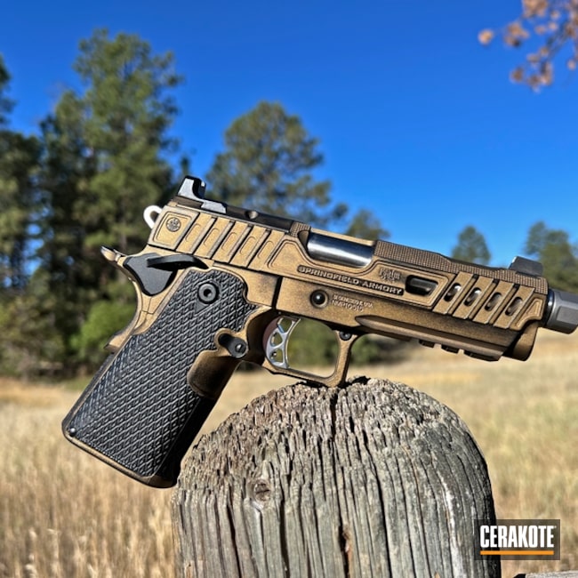 Battleworn Springfield Prodigy Custom Color Mix