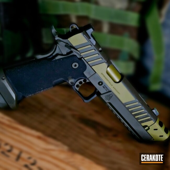 Prodigy Two-tone Coated With Cerakote In H-236