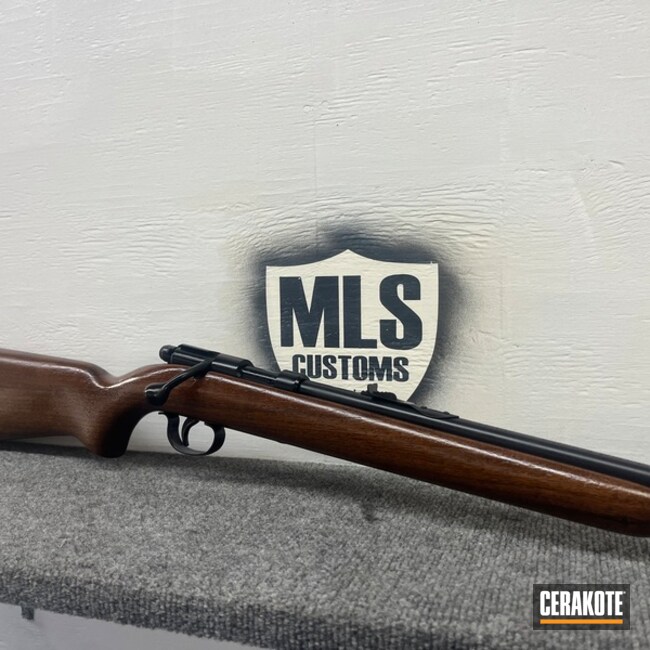 22lr Bolt Action Rifle Coated With Cerakote In H-146
