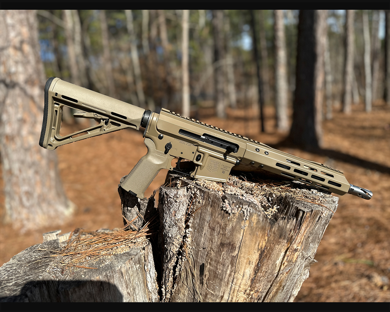 Bear Creek Arsenal Ar finished with a FDE Finish | Cerakote