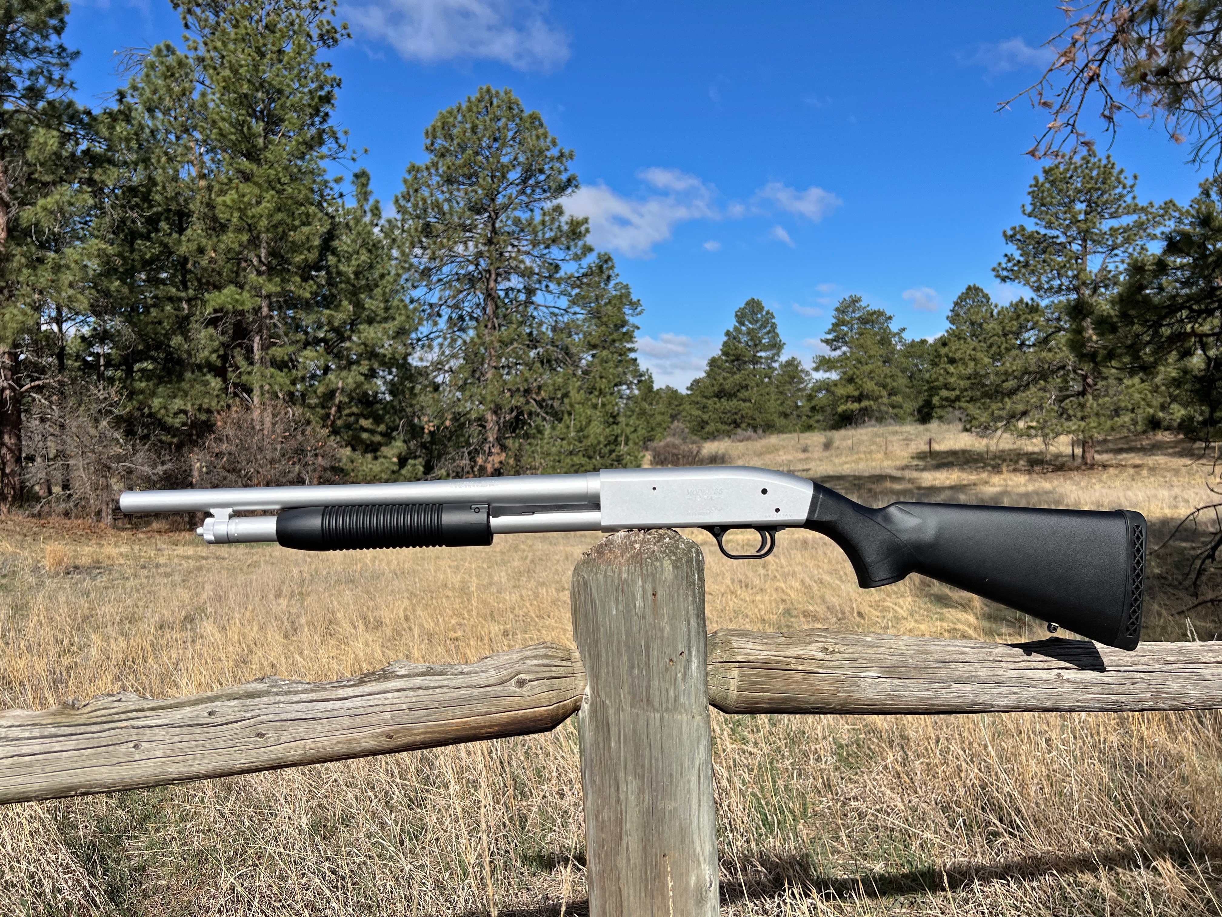 Mossberg 590 Shotgun in Satin Aluminum | Cerakote
