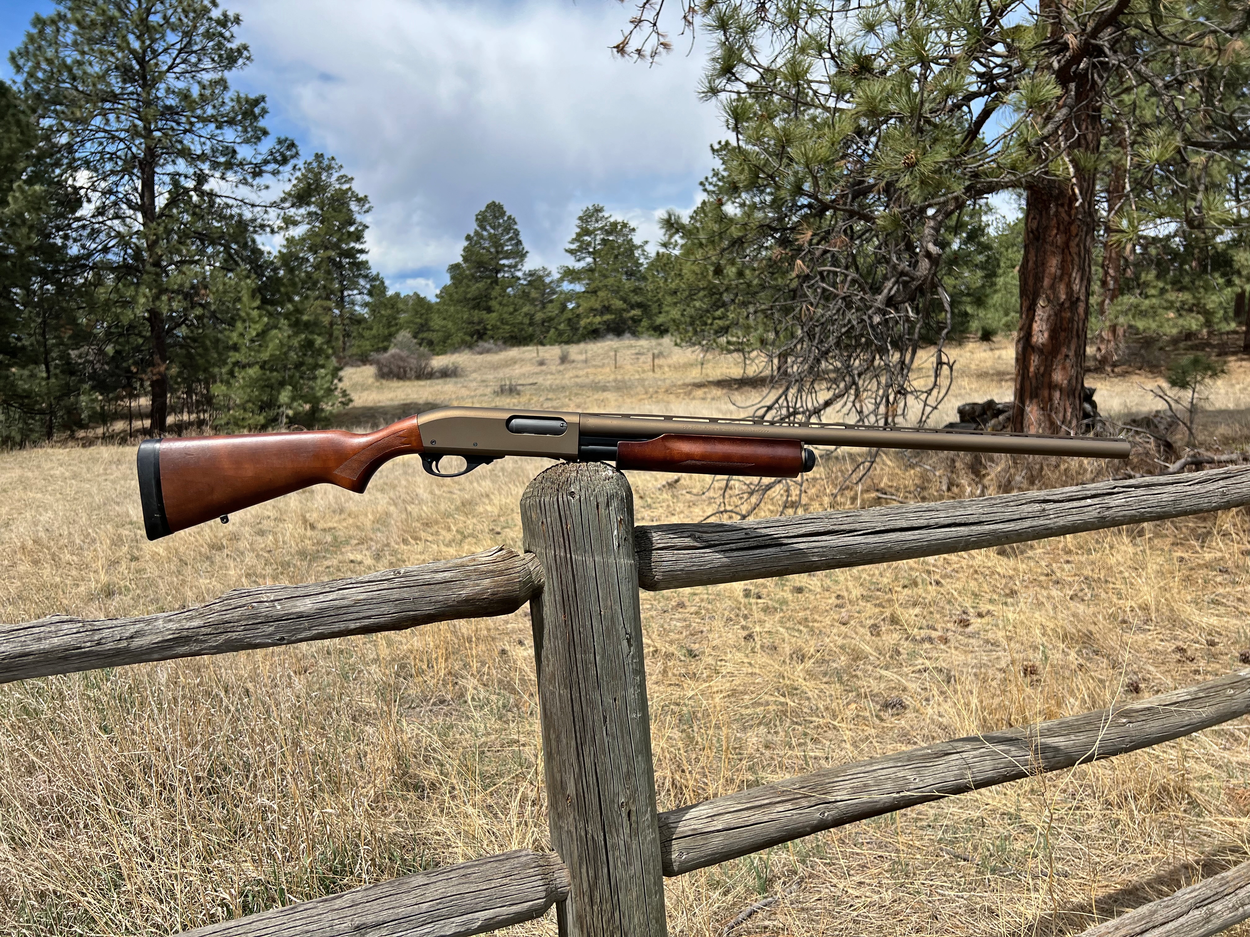 Remington 870 in Burnt Bronze | Cerakote