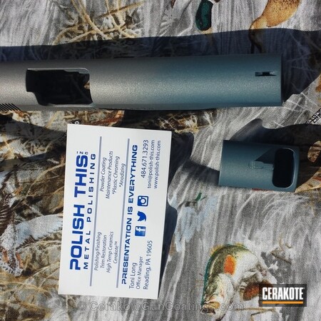 Powder Coating: Handguns,Blue Titanium H-185,Titanium H-170