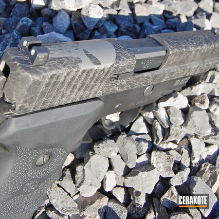 Powder Coating: Graphite Black H-146,Sig Sauer,Handguns,Punisher,Sig,Titanium H-170
