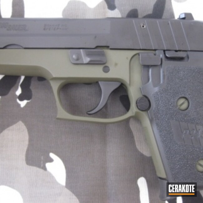 Cerakoted H-146 Graphite Black With H-236 O.d. Green