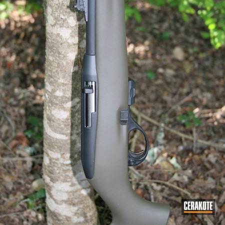Powder Coating: Hunting Rifle,Armor Black H-190,Remington,Remington .22,Tarjac Green H-206