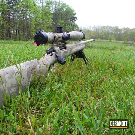Powder Coating: Hunting Rifle,DESERT SAND H-199,Armor Black H-190,Remington,Coyote Tan H-235