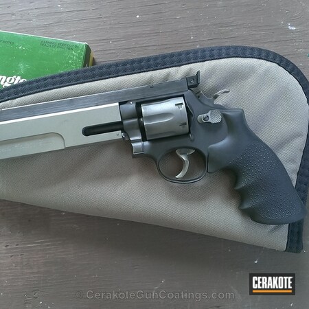 Powder Coating: Graphite Black H-146,Smith & Wesson,Revolver,Stainless H-152