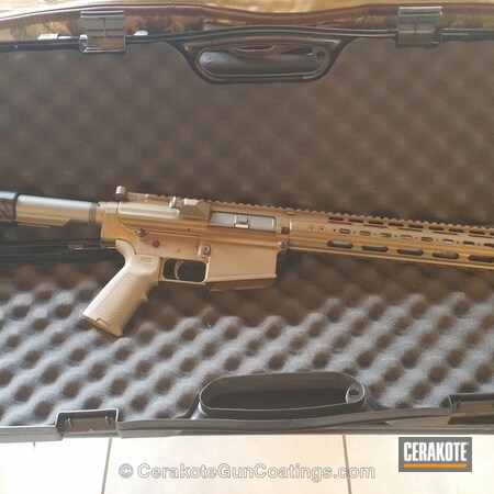 Powder Coating: DPMS Panther Arms,Tactical Rifle,Tungsten H-237,Burnt Bronze H-148