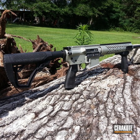 Powder Coating: Shimmer Aluminum H-158,Tactical Rifle