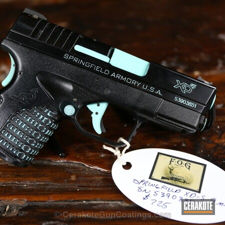 Powder Coating: Gloss Black H-109,Handguns,Springfield Armory,Robin's Egg Blue H-175
