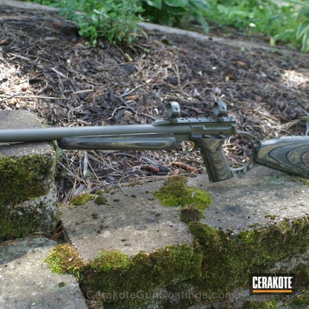 Powder Coating: Hunting Rifle,Tarjac Green H-206,Browning Buck Mark,Browning